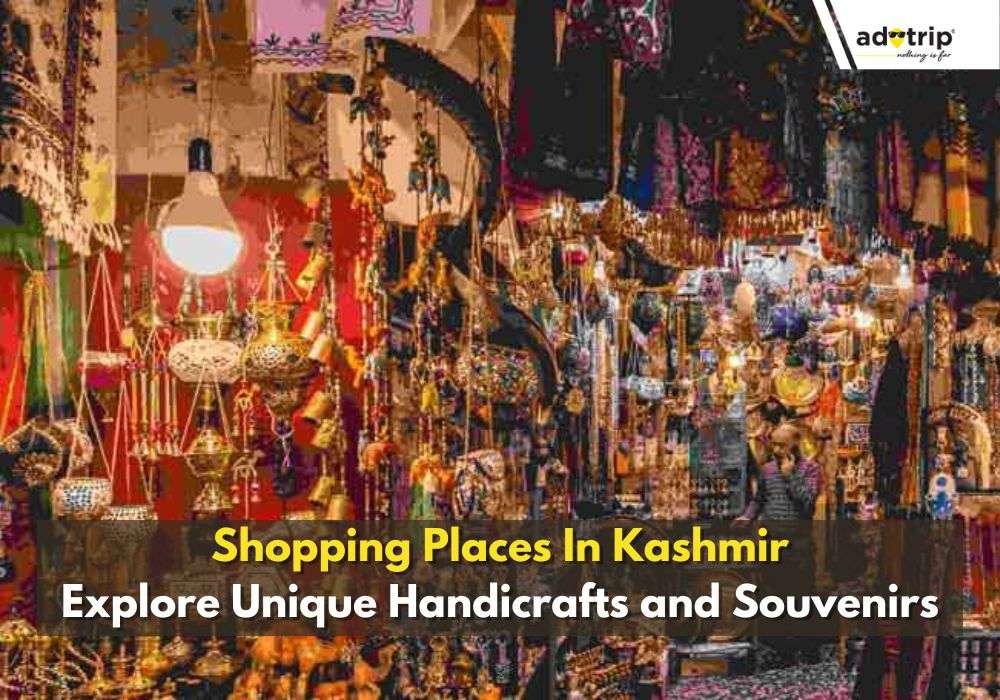 Shopping In Kashmir